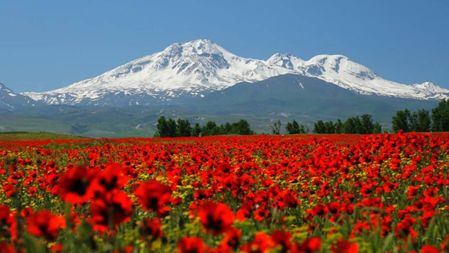 کوه سبلان (ساوالان)